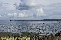 Chemainus